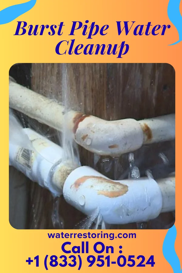Burst Pipe Water Cleanup in Beech Bottom, WV