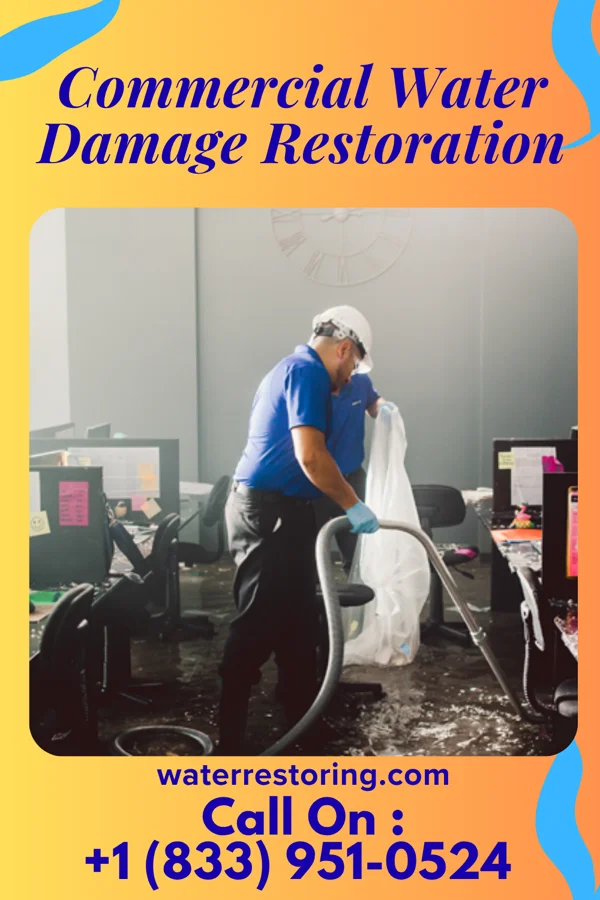 Commercial Water Damage Restoration in Beech Bottom, WV