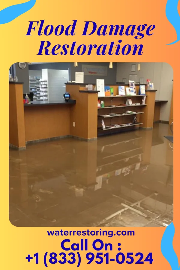 Flood Damage Restoration in Beech Bottom, WV