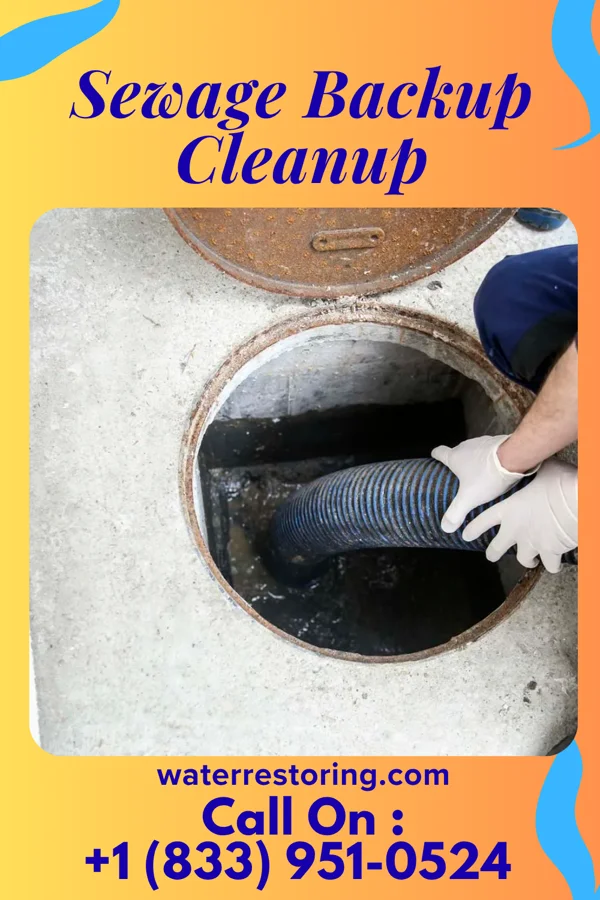Sewage Backup Cleanup in Beech Bottom, WV